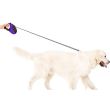 Retractable Dog Lead - 5 Metre