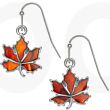 Amber Paua Shell Autumn Leaf Hook Earrings