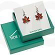 Amber Paua Shell Autumn Leaf Hook Earrings