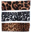 Animal Print Bandeau - Assorted Colours ( 22x7cm)