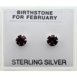 Birthstone Studs Earrings- February 5mm