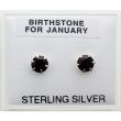 Birthstone Studs Earrings- January 5mm