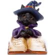Black Cat Reading Spell Book Figurine – (6cm)