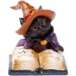 Black Cat Reading Spell Book Figurine – (6cm)