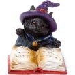 Black Cat Reading Spell Book Figurine – (6cm)