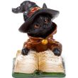 Black Cat Reading Spell Book Figurine – (6cm)
