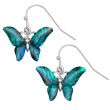 Blue Paua Shell Butterfly Hook Earrings