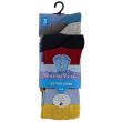 Wholesale Boy's Card Of 3 Fresh Feel Assorted Cotton Lycra Socks(UK - 9-12)
