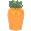 Carrot Shaped Oil Burner and Wax Warmer