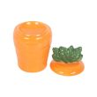 Carrot Shaped Oil Burner and Wax Warmer