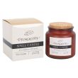 Wholesale Cinnamon Infused Prosperity Spell Candle - 350g 