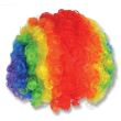Coloured Clown Rainbow Wig 