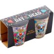 Day of the Dead Glass Shot Glass Set - Pack of 2 (50ml)