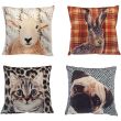 Digital Print Filled Cushions (43x43cm) - Assorted 
