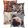 Digital Print Filled Cushions (43x43cm) - Assorted 