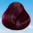 Directions Semi Permanent Hair Colour - Dark Tulip