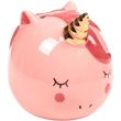 Enchanted Rainbows Unicorn Ceramic Money Box - Pink