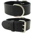 Extra Wide Bull Terrier Leather Collar-Black (18-21'')