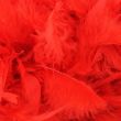 Wholesale Feather Boas Red Deluxe 200cm Long