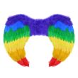 Feather Rainbow Wings