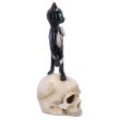 Feline Fate Light Up Skull with Black Cat Figurine - 34.6cm 