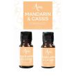 Fragrance Oils 10ml for Oil Burners – Assorted Scents (Pack of 2)