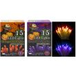 Halloween Spooky coloured LED Lights- Assorted