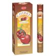 HEM Incense Sticks - Cherry