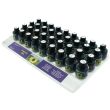 Expressions Fragrance Oils - Jasmine