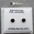 Birthstone Studs Earrings- January