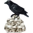Crow Standing on Pile of Skulls Resin Ornament (9cm)