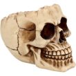 Lobo Skull Ornament 14.5cm
