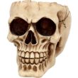 Lobo Skull Ornament 14.5cm