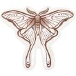 Luna Moth Ceramic Trinket Dish (14cm)