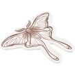 Luna Moth Ceramic Trinket Dish (14cm)