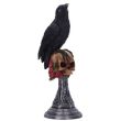 Mini Raven Figurine 17cm - Perched Prophecy 