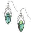 Natural Paua Shell Celtic Oval Knot Hook Earrings
