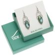 Natural Paua Shell Celtic Oval Knot Hook Earrings