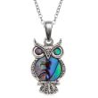 Natural Paua Shell Owl Pendant Necklace