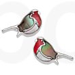 Paua Shell and Mother of Pearl Natural Robin Stud Earrings