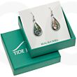 Natural Paua Shell Teardrop Hook Earrings