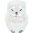 Owl Shaped Iridescent Oil Burner and Wax Warmer