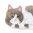 Pearlescent Sleeping Cat Shaped Hair Clamp - 8cm