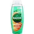 Radox Minaral Tharapy Feel Refreshed Shower Gel - 450ml