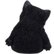 Sleeping Black Cat Figurine – 13cm