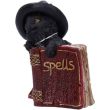 Red Cat Grimoire Figurine – 8.2cm
