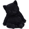 Sleeping Black Cat Figurine – 13cm