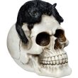 Skull with Black Cat Design Ornament 