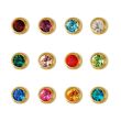 Studex Regular January - December Stainless Silver Bezel Studs (Assorted) - DCNR213W