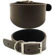 Suede Lined Lurcher Leather Collar-Brown(16-18'')